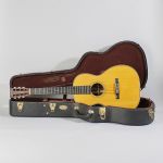 696050 Akustisk gitarr